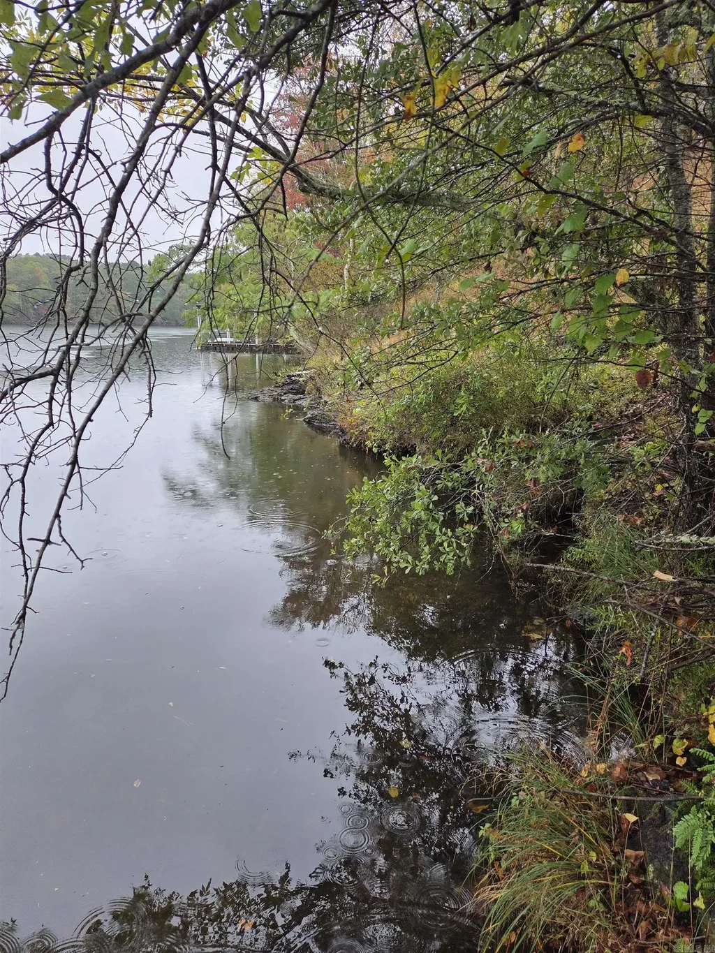 1453 St Andrews, Hot Springs