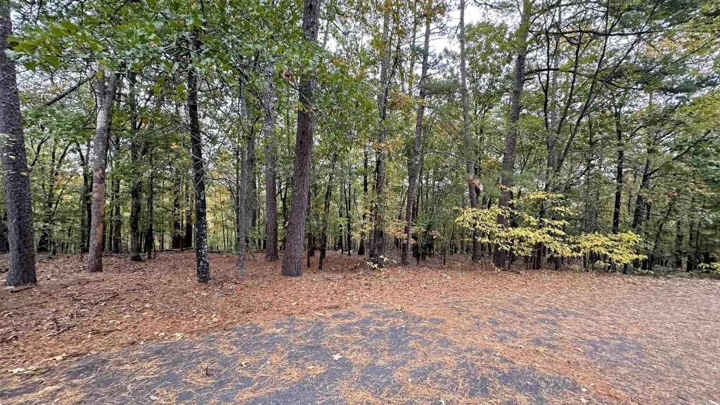 Alegria Lane, Hot Springs Village