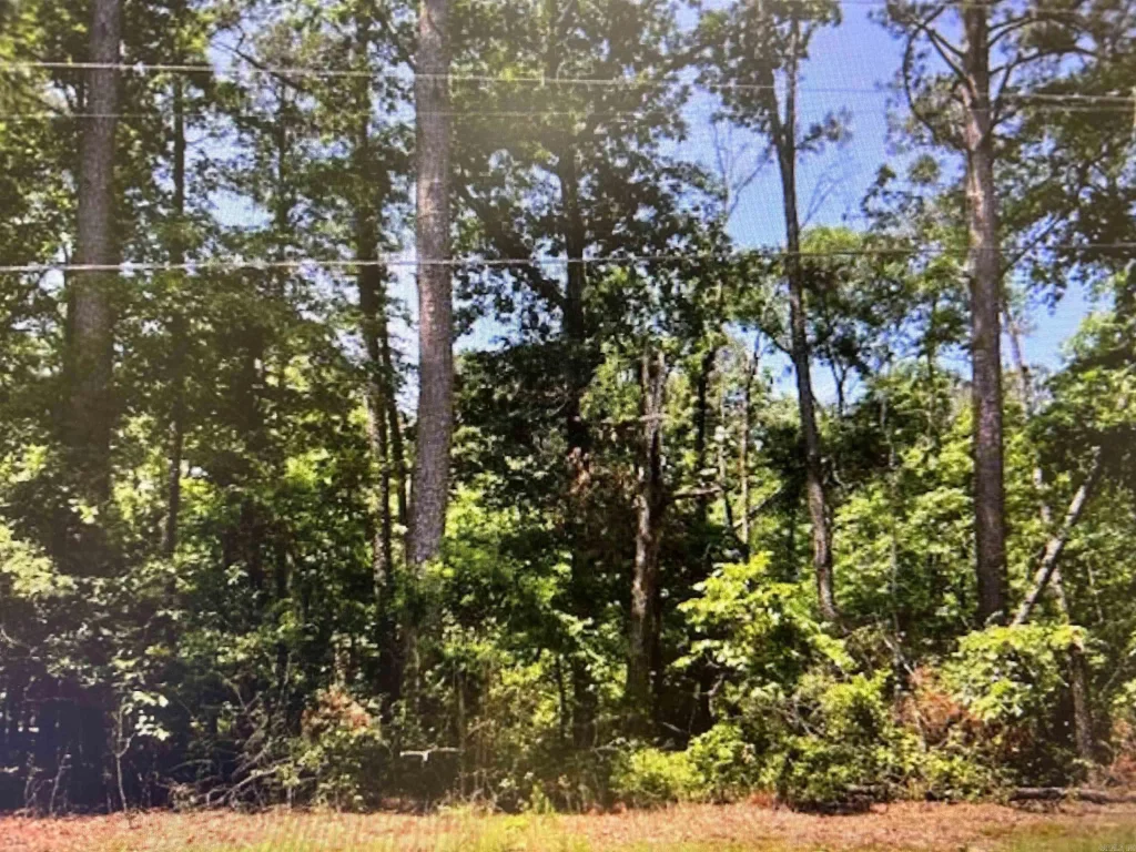 6918 Neal Creek Road, Little Rock