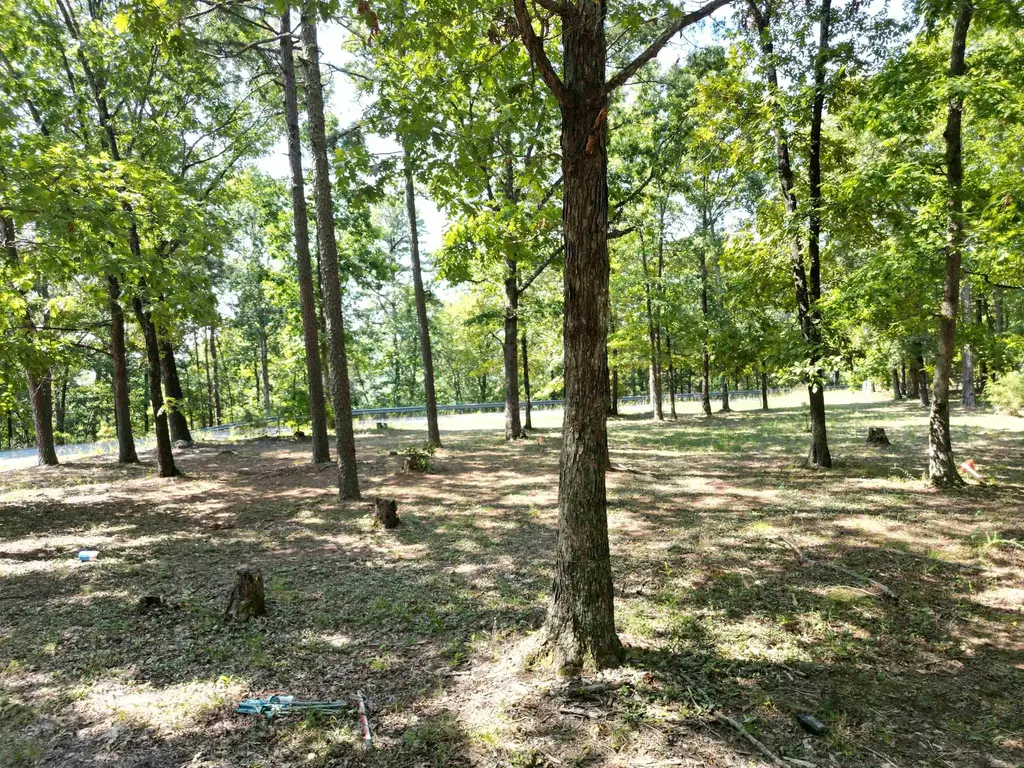 507 Henderson Road, Clinton