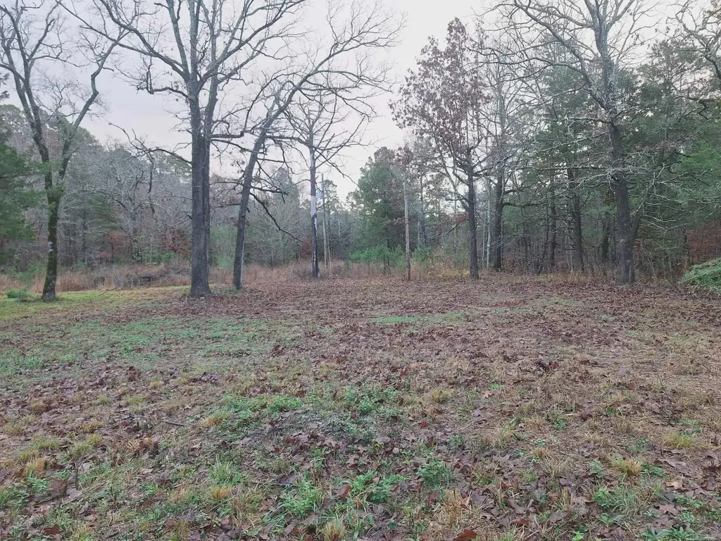 7449 Hwy 270, Boles