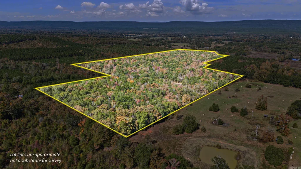 307 307 Highway, Bluffton