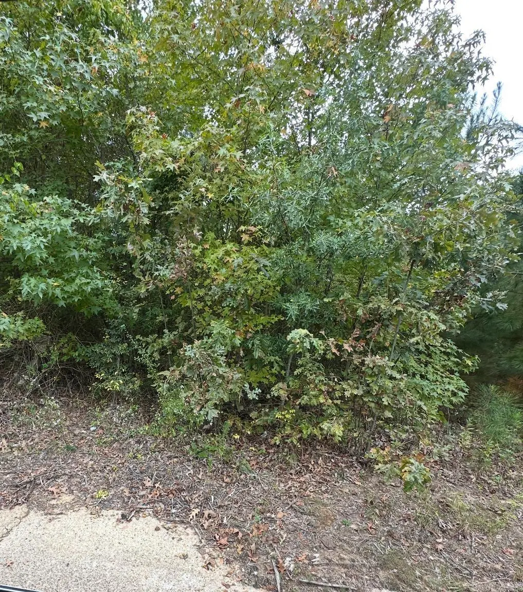 354 Harrison Ave, Camden