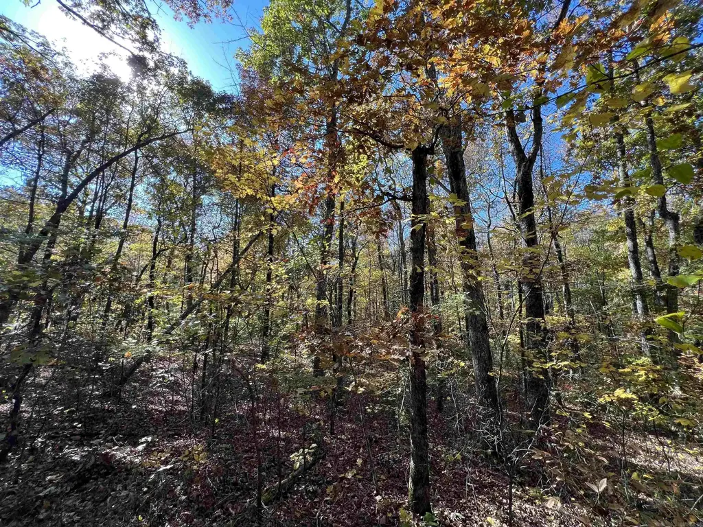 Lot 60r Holley Mountain Airpark, Clinton