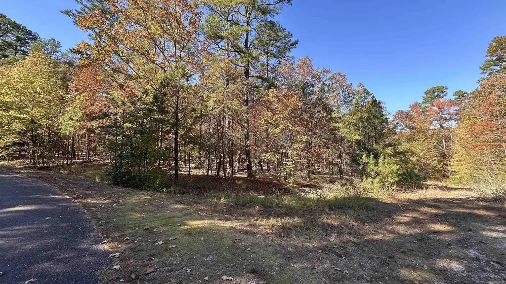 6 Buque Lane, Hot Springs Village