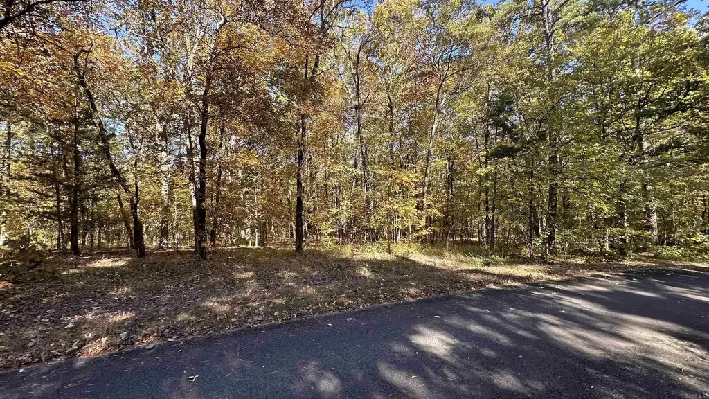 24 Buque Way, Hot Springs Village