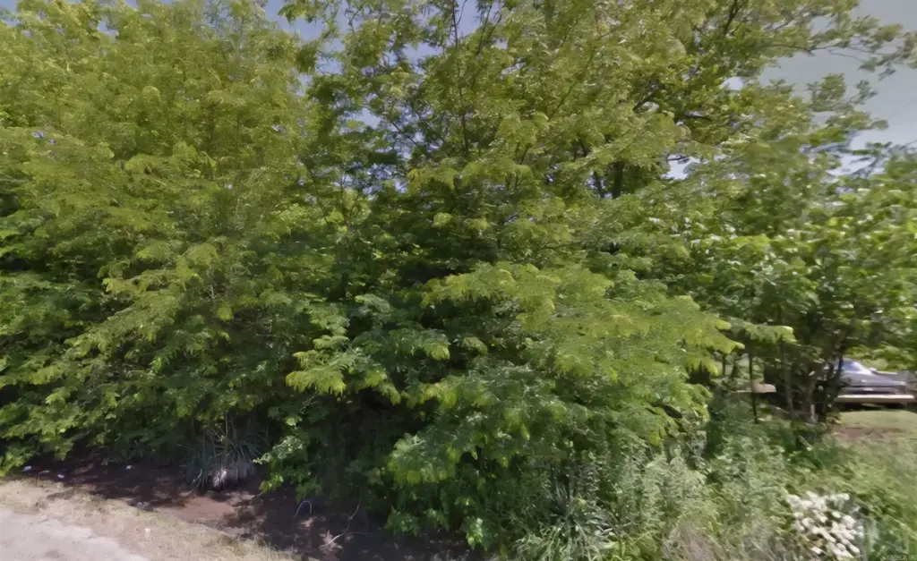 904 Elk Street, Dermott