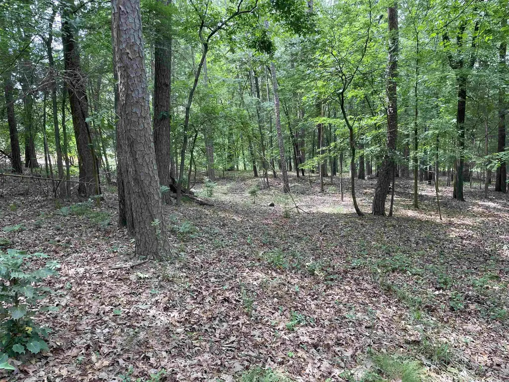 0 Woodland W, Heber Springs