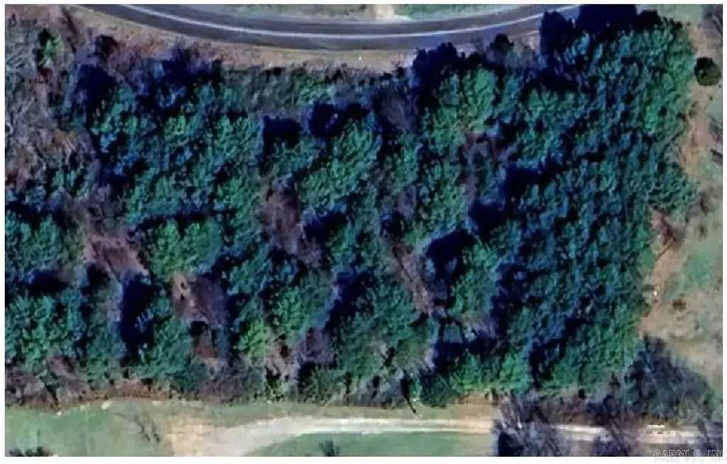 Cactus Lane, Morrilton