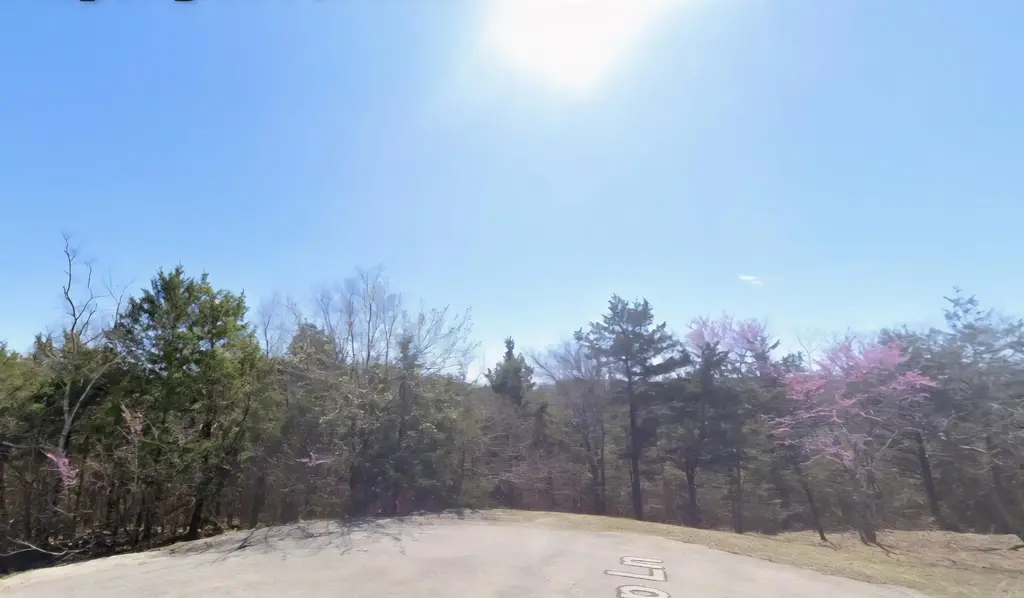Lot 38 Suntop Lane, Holiday Island