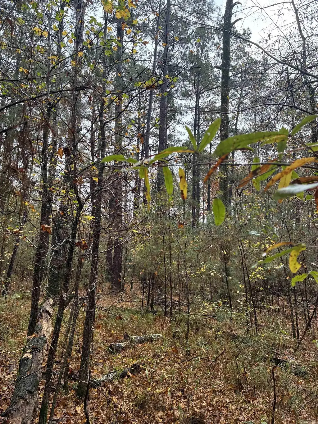 36 Acres Joan St., Camden