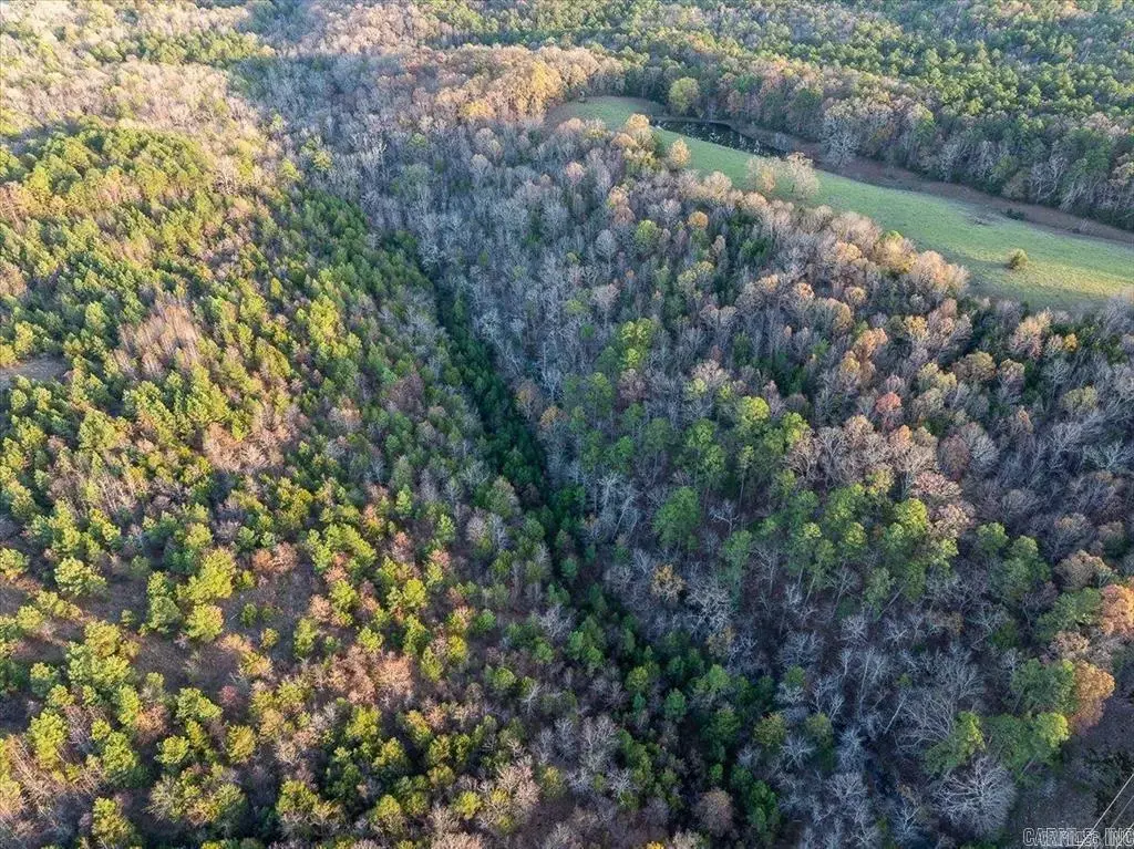 Tbd Easement Road Off Of Polk 295, Hatfield