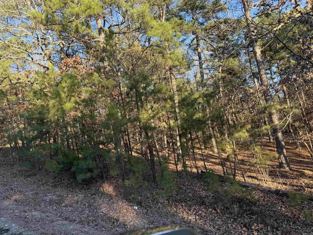 5 Vecilla Lane, Hot Springs Village