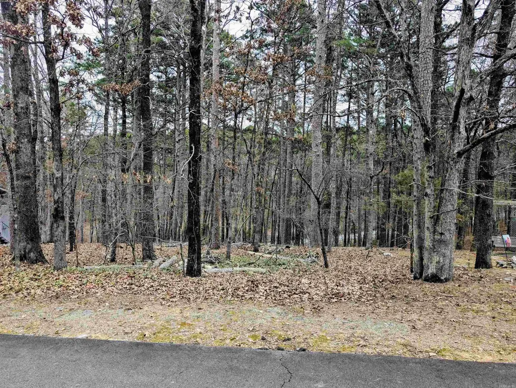5 Salobrena Way, Hot Springs Village