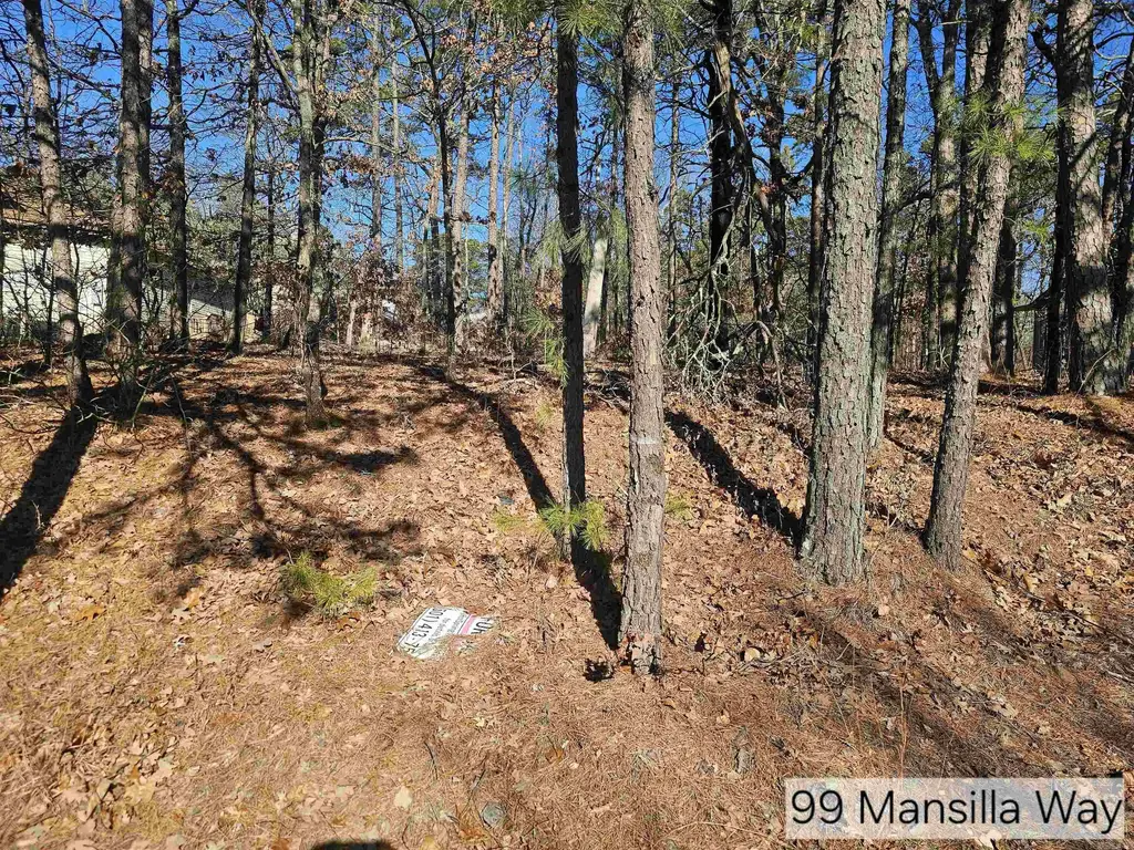 99 Mansilla Way Way, Hot Springs Village