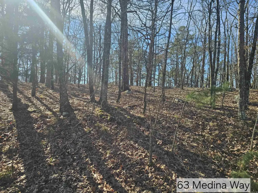 63 Medina Way, Hot Springs Village