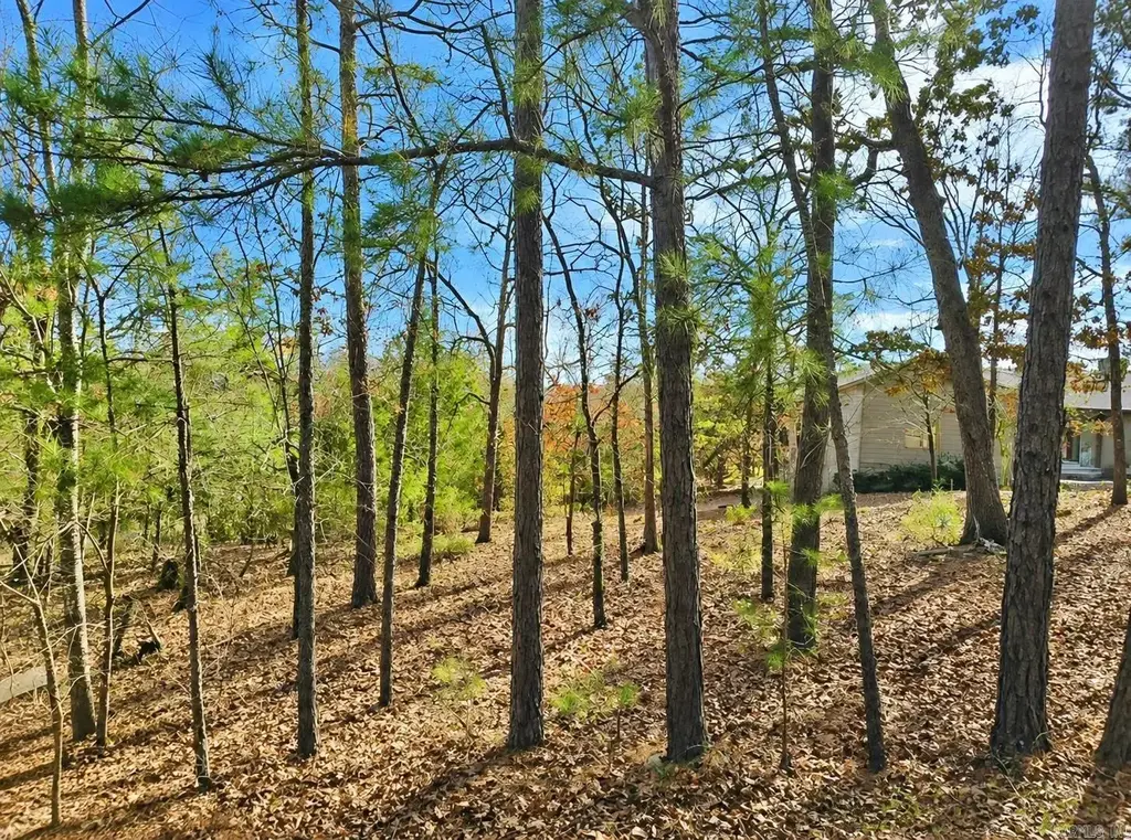 46 Jubileo Way, Hot Springs Village
