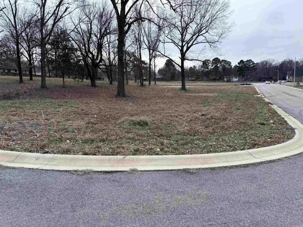 1715 Roleson Lane, Jonesboro