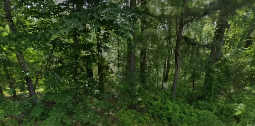 Lot 009 N Norman Street, Pine Bluff