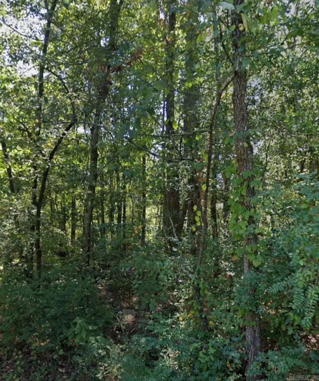 Lot 004 W Webb Avenue, Pine Bluff