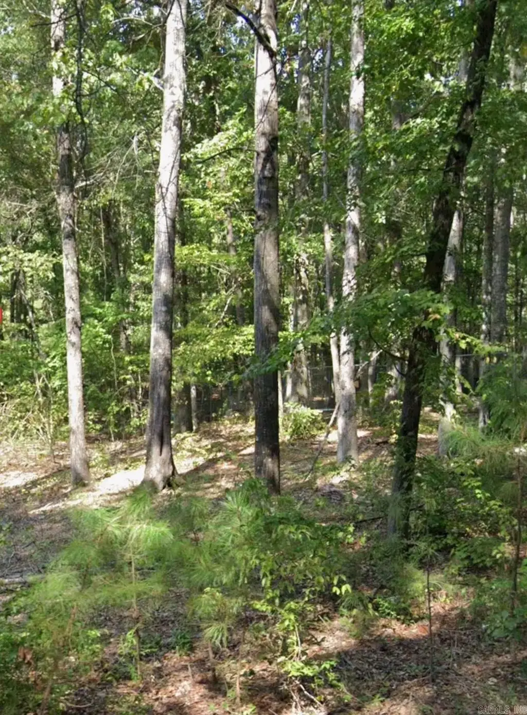 Lot 011 W Jones Avenue, Pine Bluff