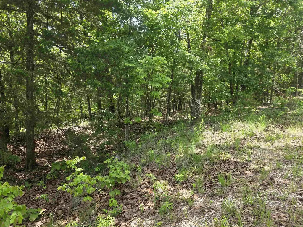 L-39, B-4 Topez Drive, Cherokee Village