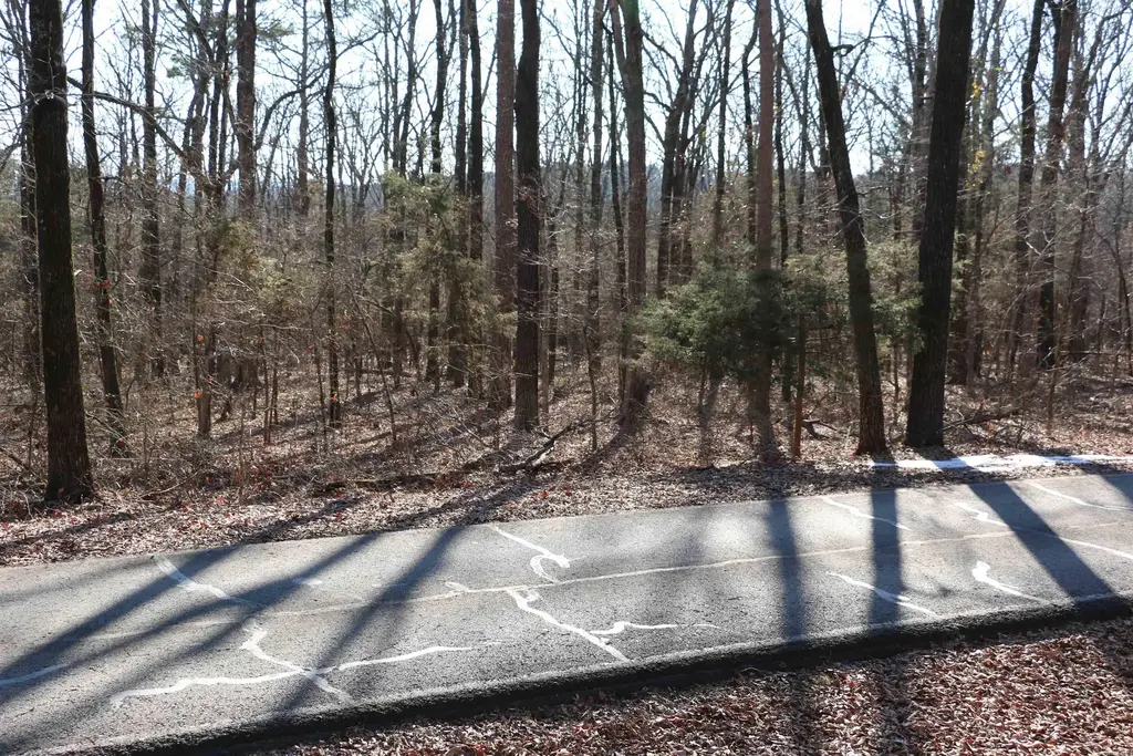 Lot 152 Woodlawn Drive, Fairfield Bay