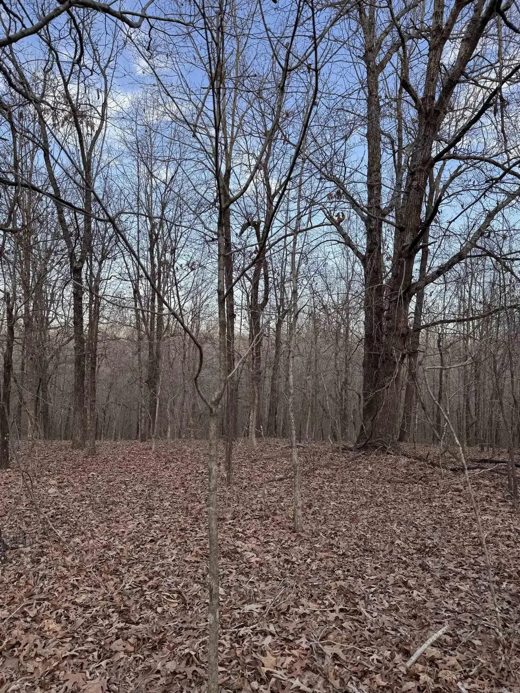 County Road 470, Rector