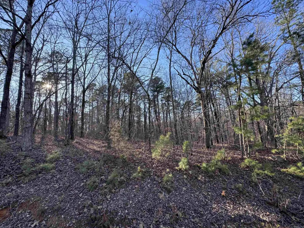 000 N Miller Point Road, Quitman