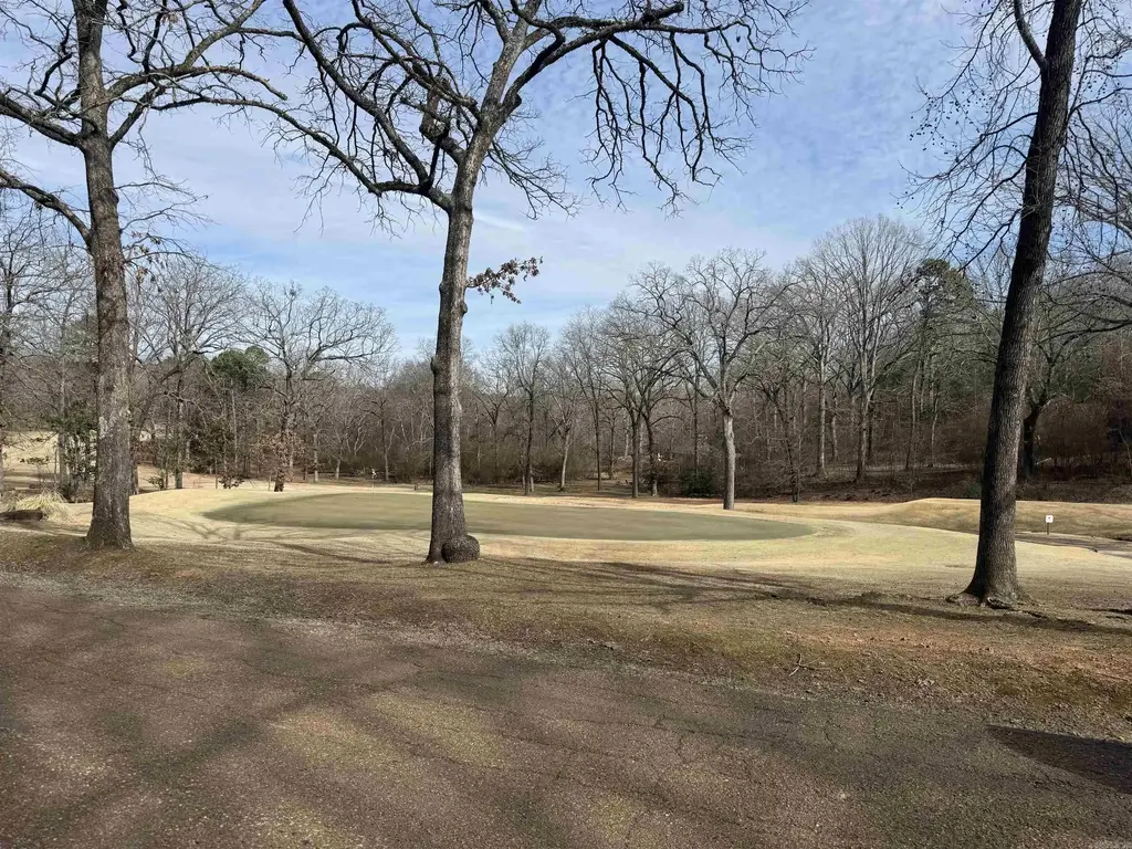 521 Birchbrook Rd, Heber Springs