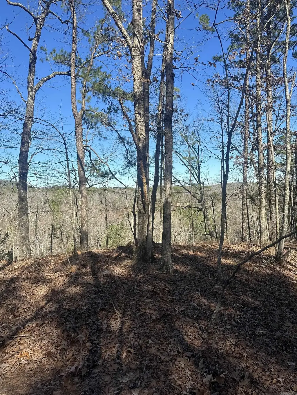 00m Walnut Valley Road, Hot Springs Village