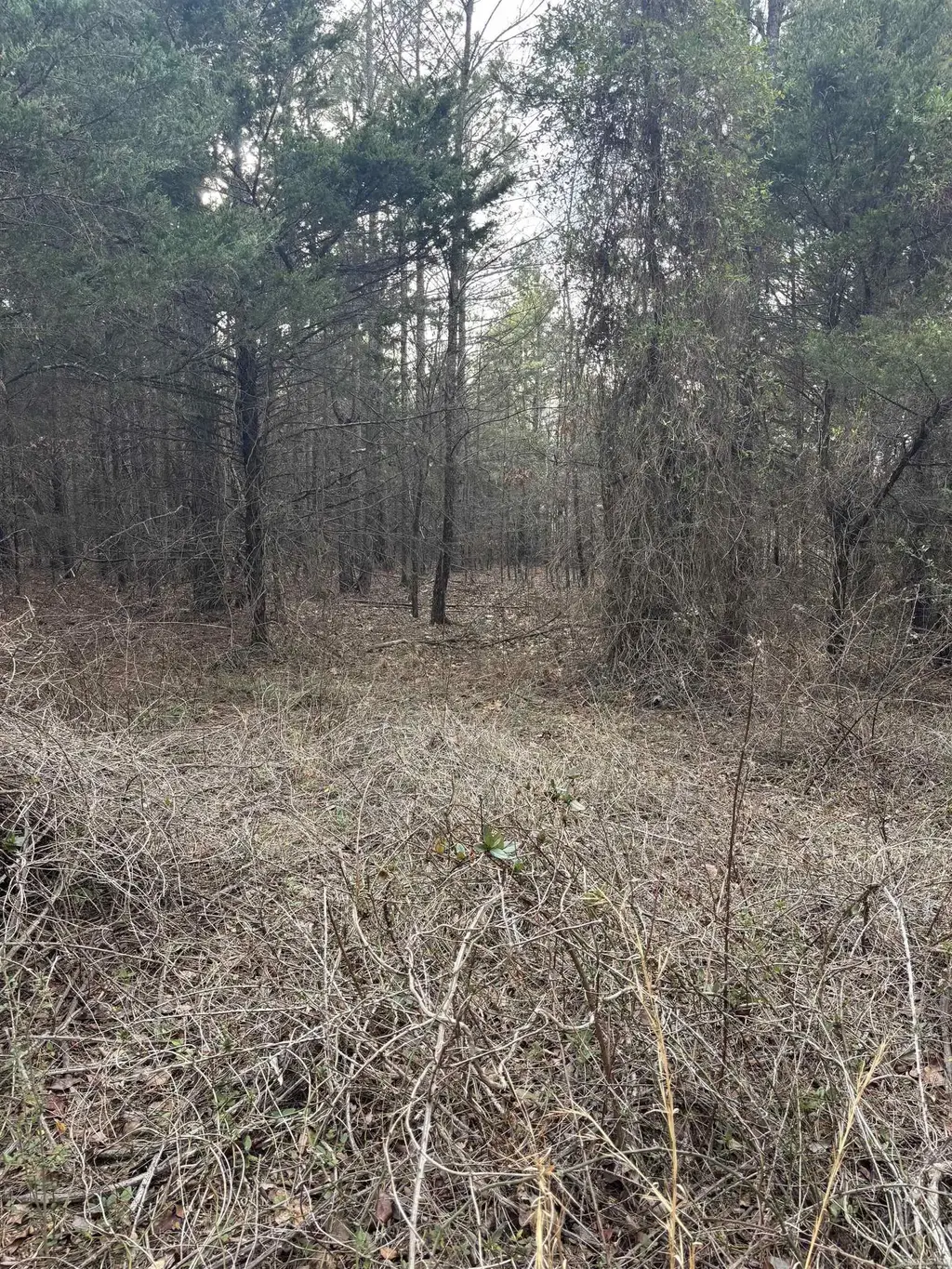 4475 4475 Heber Springs Road W, Quitman