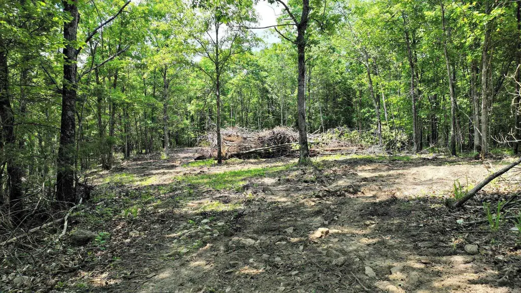 Tbd, Tract 2 Polk Road 158, Mena