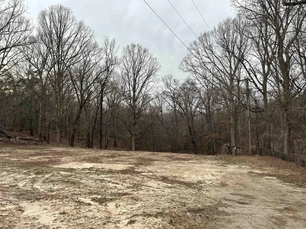 123 County Road 381, Wynne