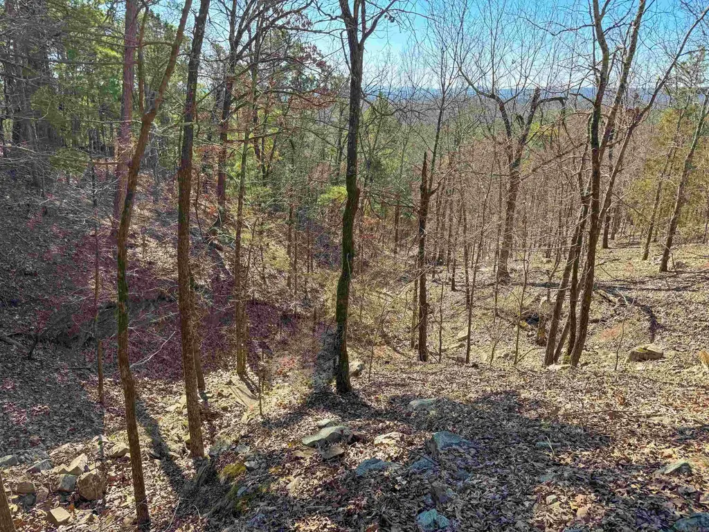 2 High Point Drive, Mayflower