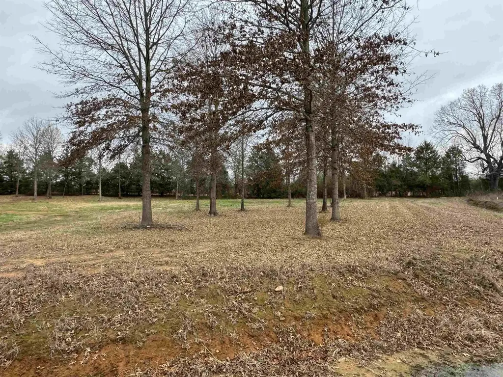 27r River Birch Drive, Guy