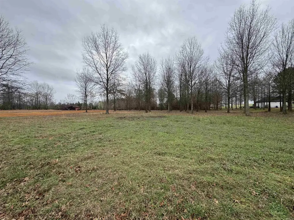 32r River Birch Drive, Guy