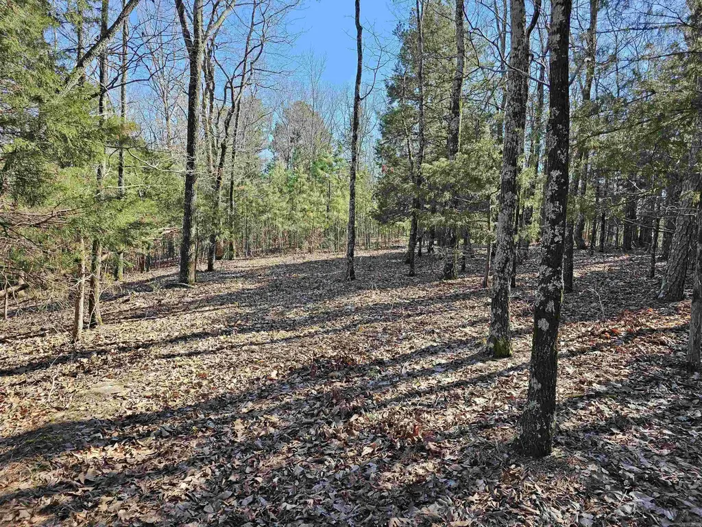 599 Rocking T Road, Heber Springs