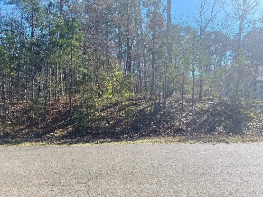 10 Telon Lane, Hot Springs Village