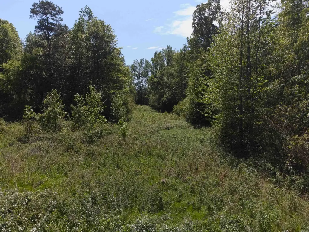 10 Acres Off Turner Road, Rose Bud