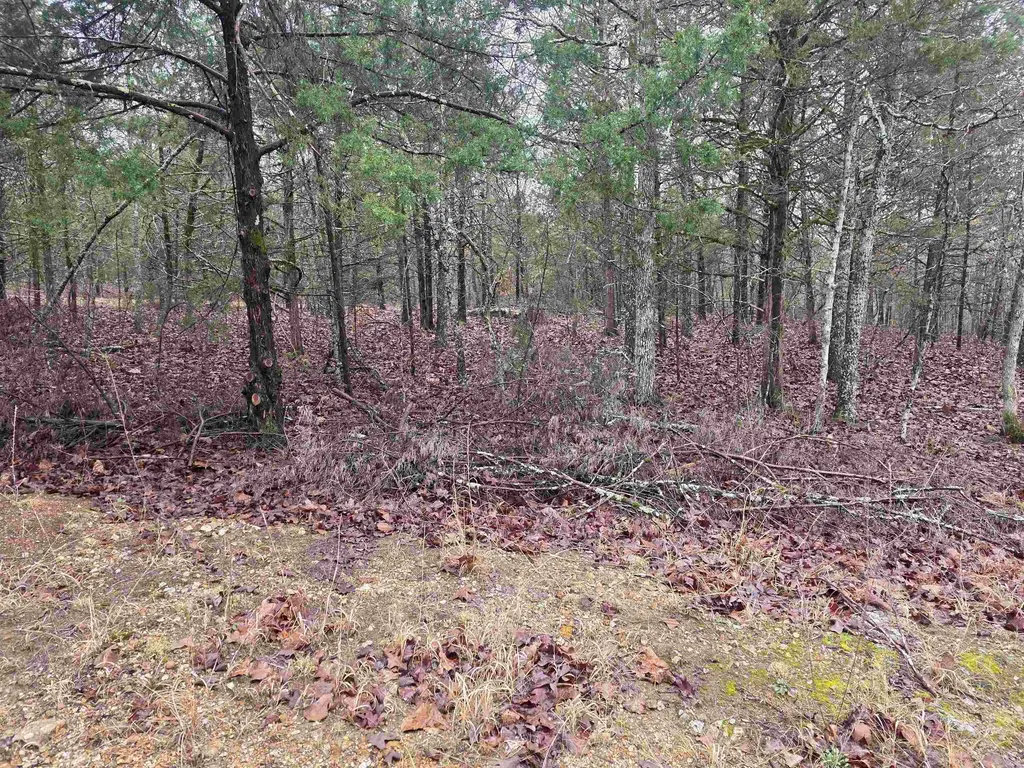 L-86,87 B-2 Gettysburg Drive, Cherokee Village
