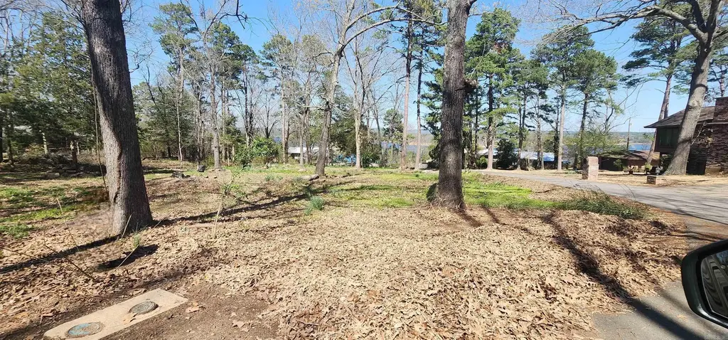 204 Glenview Drive, Heber Springs