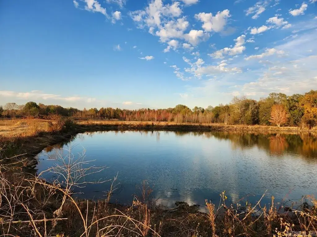21.69 Acres Lee County, Moro