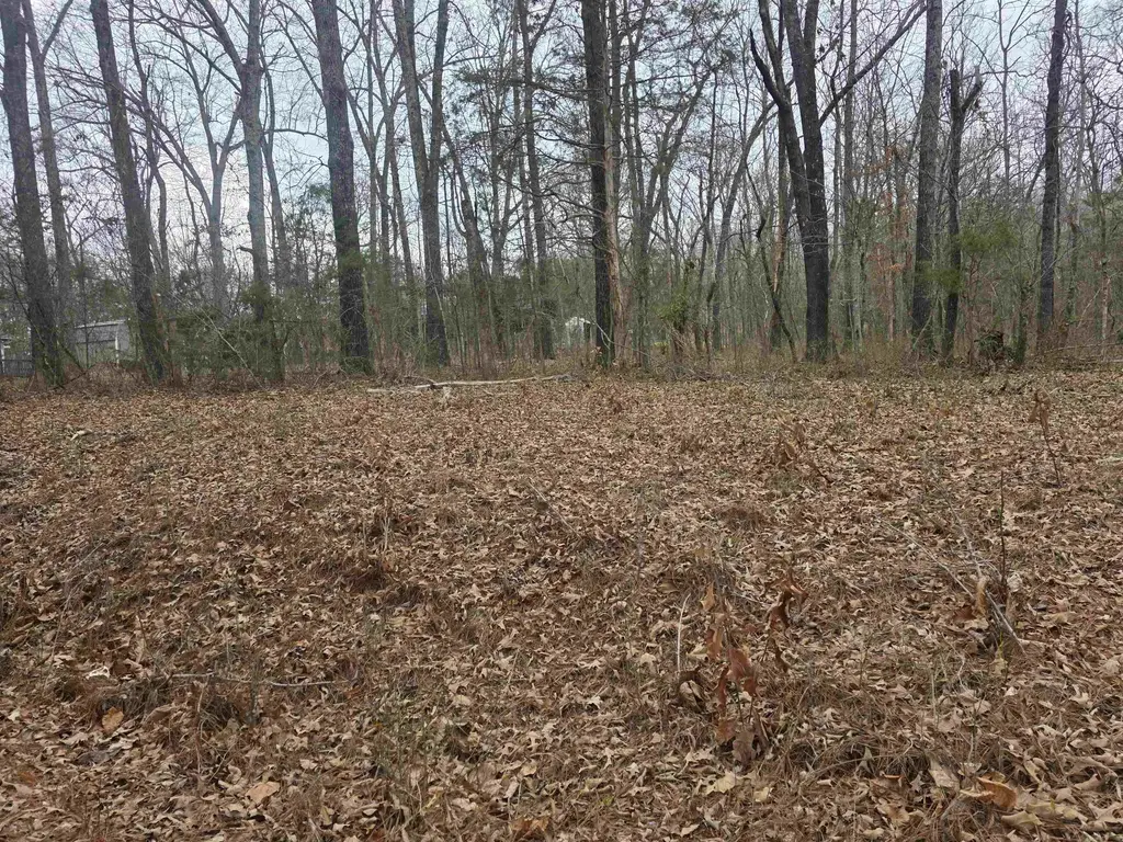 23 Lots Cherokee Village & Ozark Acres, Cherokee Village