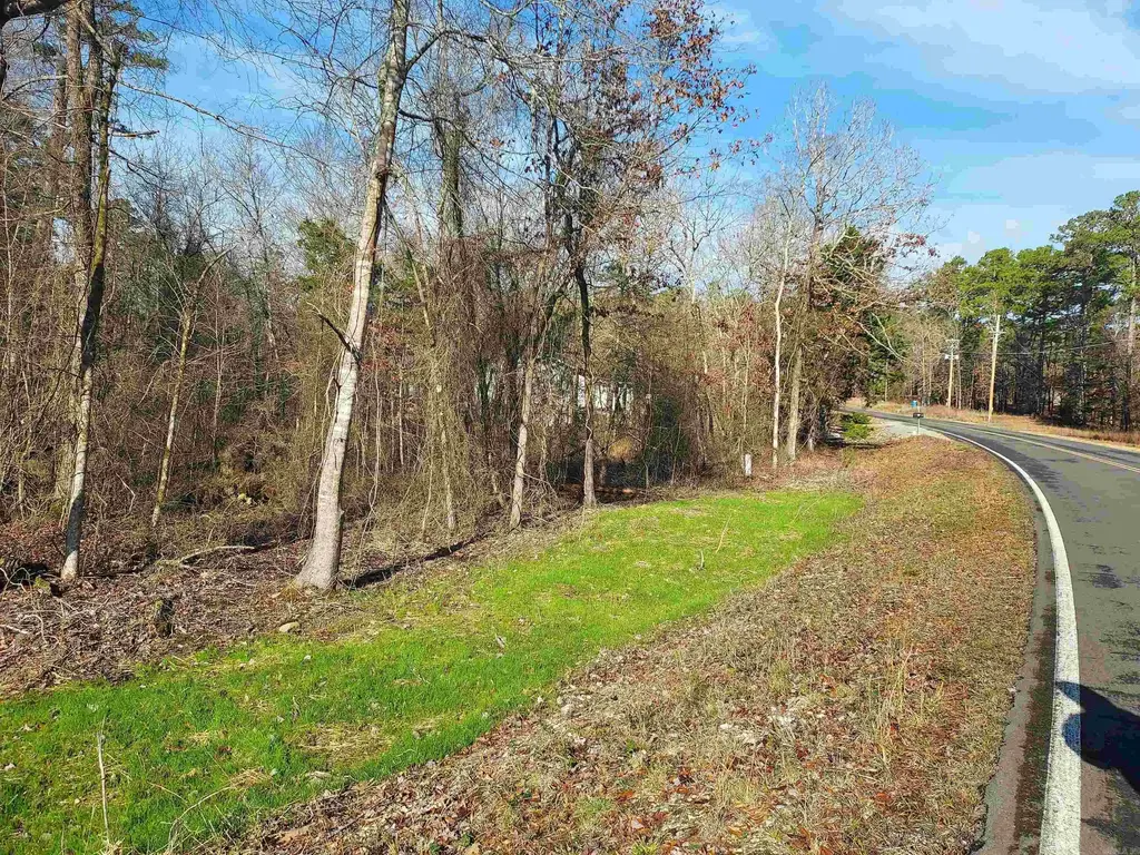 14 Levantino Drive, Hot Springs Village