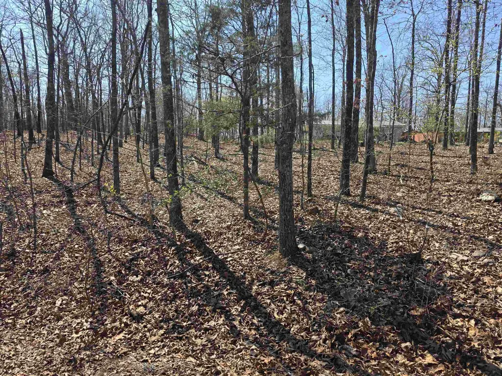 L12 B5 Deer Run Drive, Cherokee Village