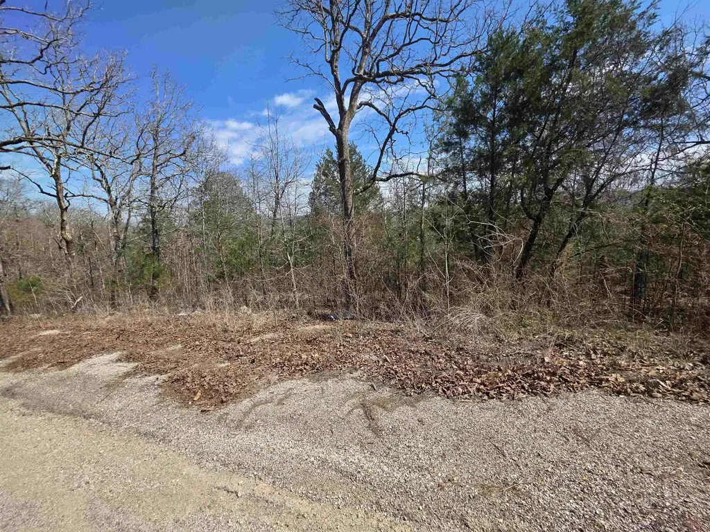 L13 B2 Deer Run Drive, Cherokee Village