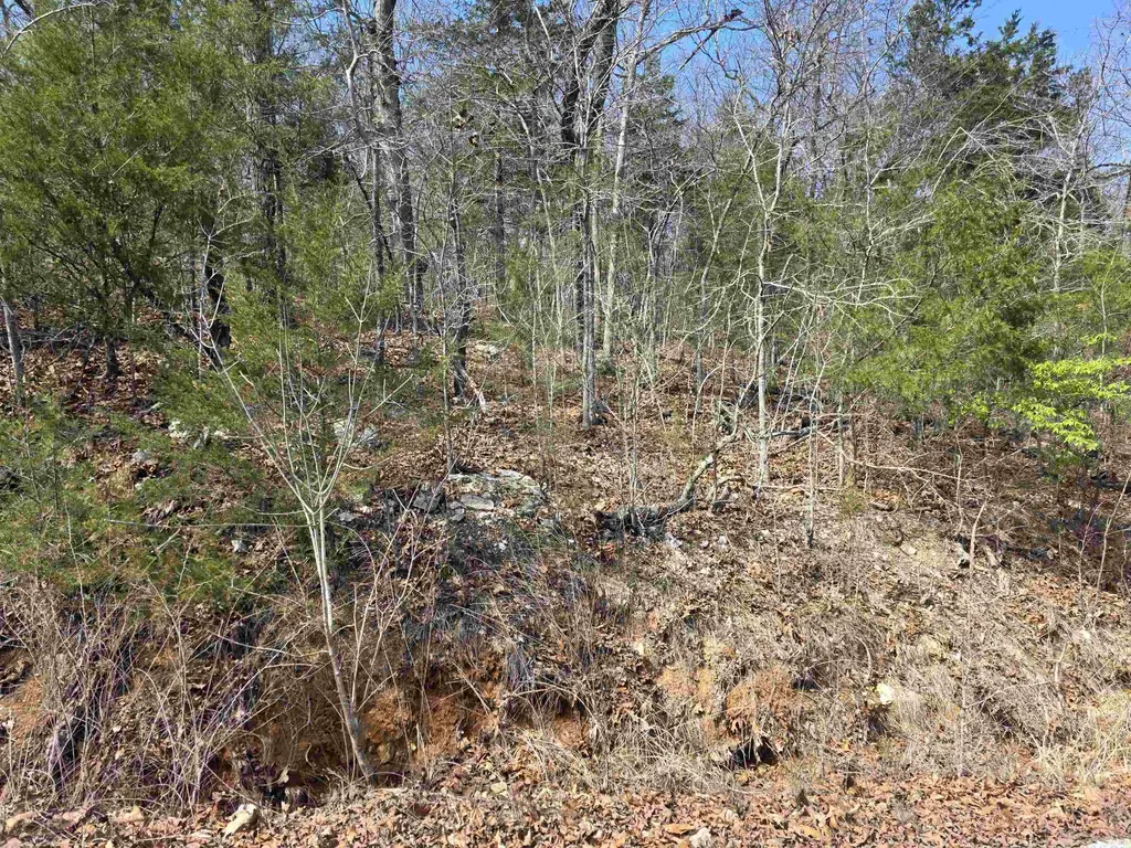 L12 B1 Deer Run Drive, Cherokee Village