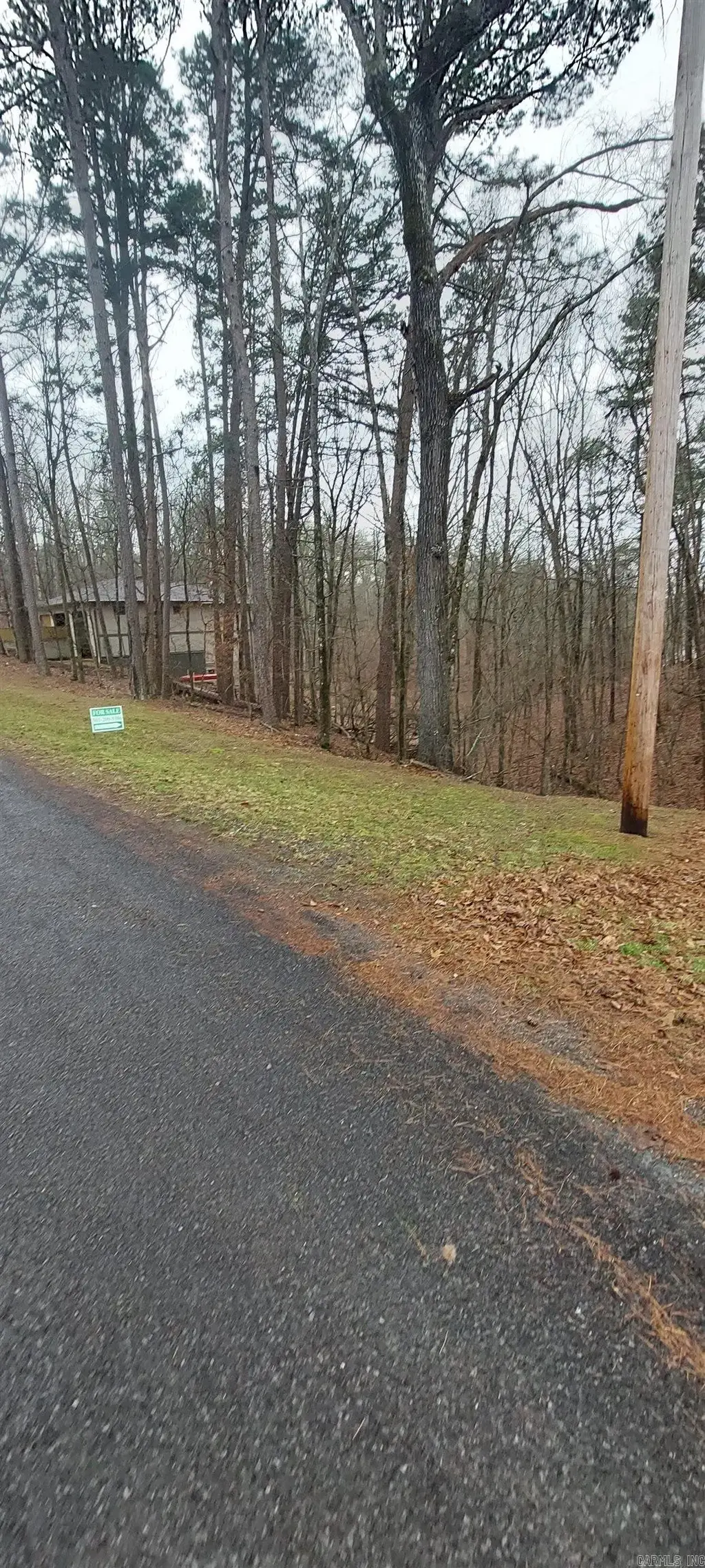 337 Arlington Drive, Hot Springs Village