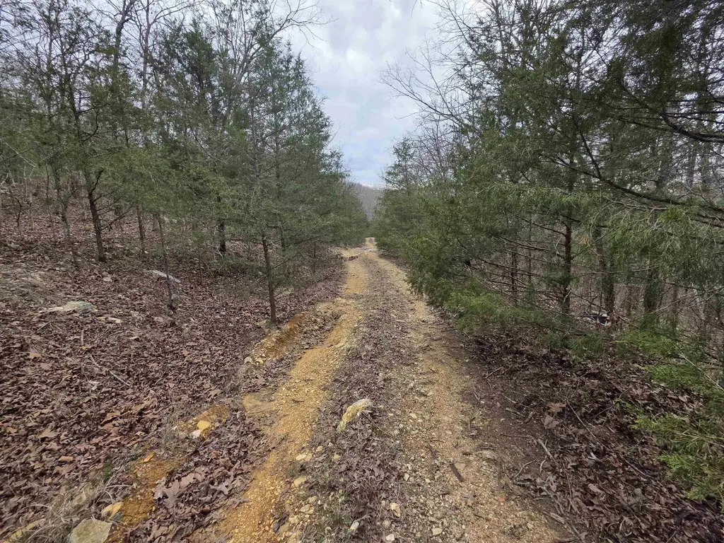 L-24 B-5 Tom Lee Road, Hardy